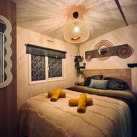 Wanderhuette Wandelaarshut 'tante Truus' Met Prive Infrarood Sauna - Recreatiepark 't Veluwshof - Veluwe * هونديرلو