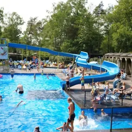 Tante Truus - Rustig Natuurhuisje Met Sauna Op De Veluwe Alpstuga