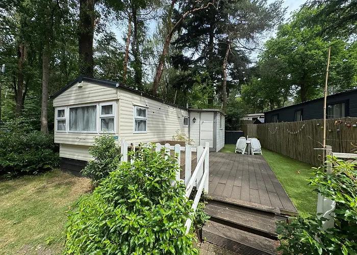 Alpstuga Tante Truus - Rustig Natuurhuisje Met Sauna Op De Veluwe