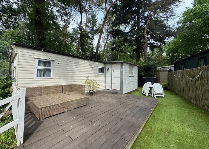 Tante Truus - Rustig Natuurhuisje Met Sauna Op De Veluwe Alpstuga *